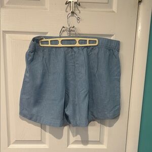 Patagonia Light Blue Women's Bermudas